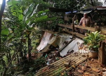 SUZANA Jusoh melihat kesan hakisan tebing Sungai Telemong berhampiran rumahnya di Kampung Imam Lapar, Hulu Terengganu. - UTUSAN/NOOR HAYATI MAMAT