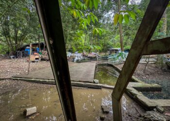 STRUKTUR bangunan terbengkalai yang dipercayai dijadikan reban ayam dan itik serta kolam takungan dibina individu tidak bertanggungjawab secara haram sejak dua tahun lalu di Taman Bukit Permai, di sini, semalam. UTUSAN/ MUHAMAD IQBAL ROSLI