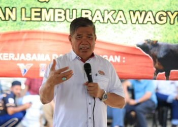 MOHAMAD Sabu berucap semasa mengadakan lawatan ke Projek Pembiakan dan Penternakan Lembu Baka Wagyu Milik Kelfram Sdn. Bhd di Kampung Senang, Jelawat, Bachok, Kelantan hari ini-UTUSAN/KAMARUL BISMI KAMARUZAMAN.