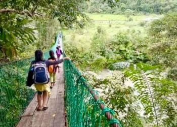 LALUAN murid SK Buayan, Penampang menyeberangi jambatan gantung untuk pulang ke rumah. – Ihsan SK Buayan