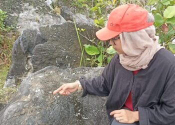 SITI NAJWA Mokhtar menunjukkan fosil siput laut yang ditemukan di  Kampung Changkat Tualang, Kampar hari ini. - UTUSAN/MEGAT LUTFI MEGAT RAHIM