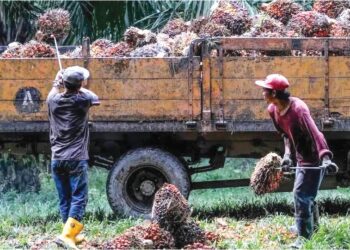 HLIB mengekalkan unjuran harga MSM pada RM4,000 satu tan tahun ini dan RM3,800 satu untuk 2025.