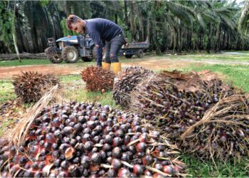 PENGELUARAN MSM Malaysia dijangka pada 18.75 juta tan tahun ini, meningkat satu peratus dari tahun lepas.