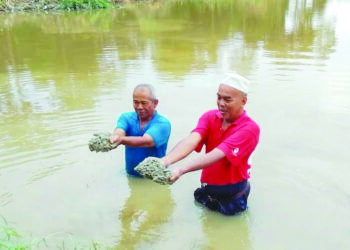 YAACOB Abdul Majid (kiri) bersama rakannya menunjukkan anak benihnya yang rosak akibat banjir termenung di sawahnya di Kampung Teras, Binjai, Kota Bharu, Kelantan-UTUSAN/ROHANA MOHD.NAWI