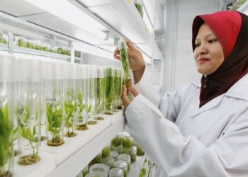 BIOTEKNOLOGI muncul sebagai penyelamat yang mampu menawarkan penyelesaian inovatif untuk memastikan keselamatan makanan global.