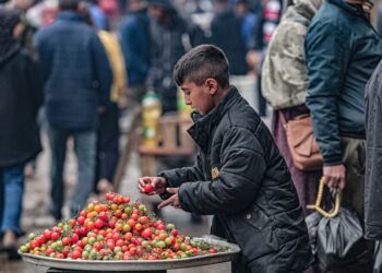 SEORANG budak lelaki Palestin menjual tomato ceri di sebuah pasar di Rafah di selatan Gaza.-AFP