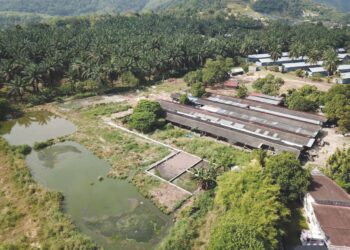 PEMANDANGAN udara ladang babi dipercayai menjadi punca pencemaran di Sungai Kulim, Kulim, Kedah.