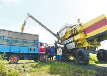 Penarikan subsidi diesel menyebabkan kenaikan kos dalam penanaman padi.
