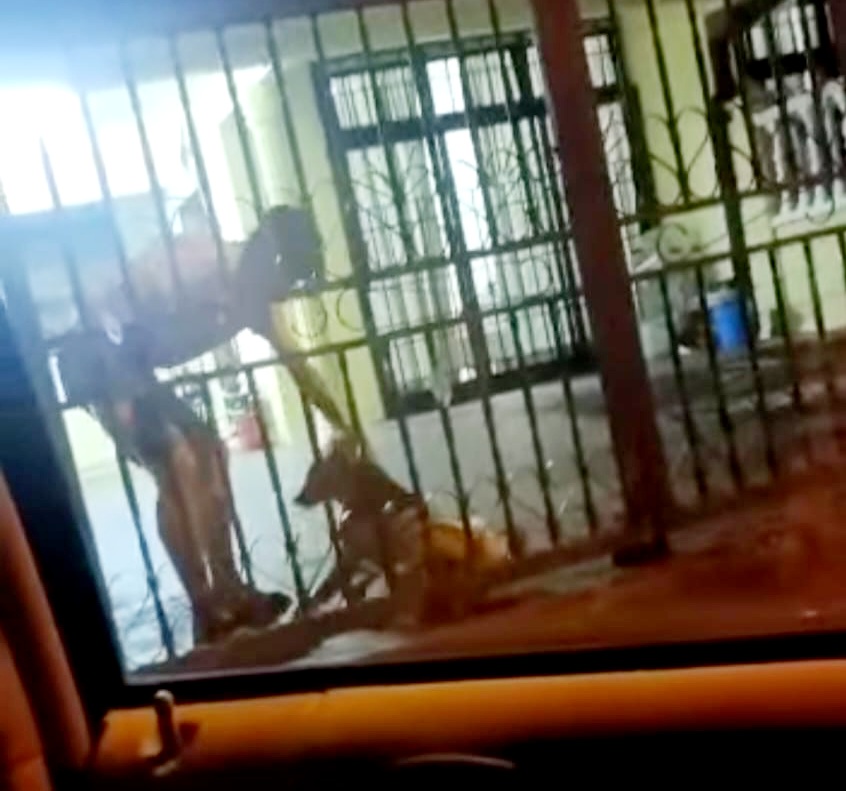 Polis siasat lelaki disyaki rotan anjing peliharaan