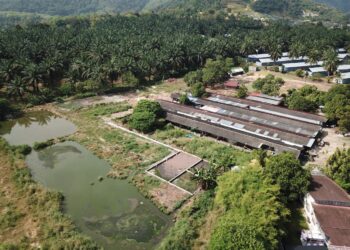 PEMANDANGAN udara ladang khinzir dipercayai menjadi punca pencemaran di Sungai Kulim, Kulim.