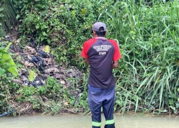 KAKITANGAN Pusat Rekreasi Lubuk Timah menemukan longgokan bangkai itik dipercayai dibuang pengusaha ternakan itu di tepi sungai di Simpang Pulai, Perak. - UTUSAN/UTUSAN/AIN SAFRE BIDIN