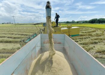 KADA masih ketinggalan pengeluaran hasil padi berbanding negeri lain.