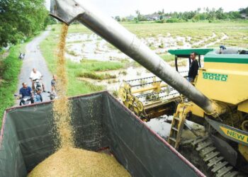 LANGKAH menyelaras harga beras tempatan dan import dilihat mampu menyelesaikan masalah bekalan makanan ruji itu.