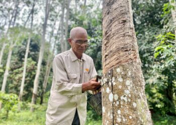 KEBANYAKAN mereka yang terlibat dengan industri getah di negara ini sudah berusia 50 tahun dan ke atas.