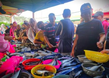 JALALUDDIN Alias (kanan) melihat jualan ikan ketika hadir pada Program Jualan Agro Madani di Sungai Lui, Jelebu hari ini.-UTUSAN/BADRUL HAFIZAN MAT ISA.