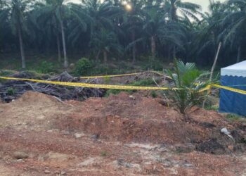 MAYAT lelaki warga Myanmar yang dibunuh rakan senegaranya ditemukan di lubang di ladang tembikai Batu 7, Binjul, Kuala Ketil di Baling.