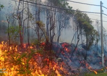 KEBAKARAN seluas satu ekar tanah hutan di Kuala Kubu Bharu, di sini, hari ini dipercayai berpunca daripada pembakaran tayar terpakai.