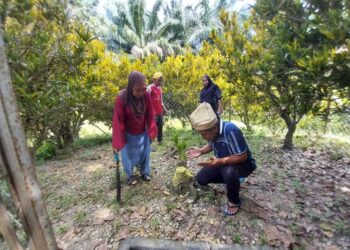 TENGKU Mustaffa Tengku Mohd. Yunus (kanan) ketika menziarah makam Puteri Limau Purut di Pulau Tiga, Pasir Salak, Perak. - UTUSAN/AIN SAFRE BIDIN