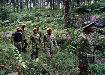 ANGGOTA RELA menjalankan operasi mengesan tahanan yang lolos dari Depoh Imigresen Sementara Bidor di Kampung Sungai Kenoh, Tapah. - UTUSAN/ZULFACHRI ZULKIFLI.