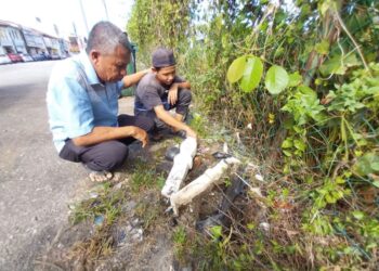 PENDUDUK menunjukkan batu nisan yang ditinggalkan di tepi jalan berdekatan tong sampah di Teluk Intan. - UTUSAN/AIN SAFRE BIDIN