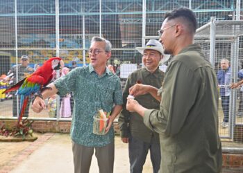 RAZALI Idris (kiri) tertarik dengan burung kakak tua yang dipelihara di Rimba Razia, Kampung Dusun, Hulu Terengganu. - UTUSAN/PUQTRA HAIRRY ROSLI