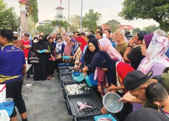 ORANG  ramai menyerbu jualan murah sotong yang dibawa  dari Kedah di  tapak pasar tani di bandar Pontian, Johor.