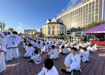 TAEKWONDO sudah bertapak dengan baik di Perak dan sering menjadi antara pilihan anak muda untuk terlibat dalam aktiviti fizikal.