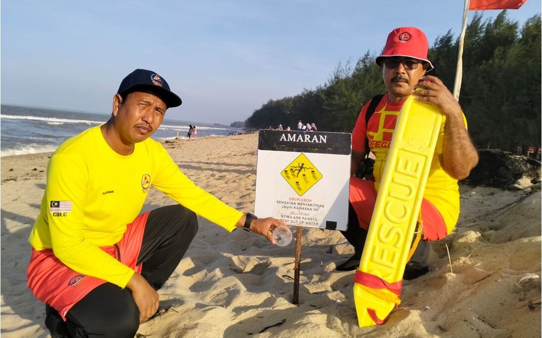 Ubur Ubur Api Serang Pantai Geting