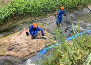 ANGGOTA APM berjaya menangkap anak buaya tembaga di Sungai Air Batu, Sungai Udang, Melaka.