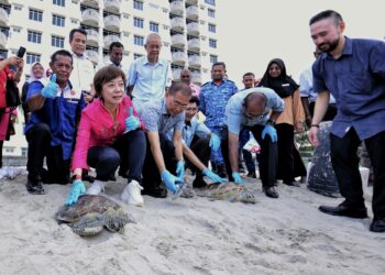 NICOLE Tan Lee Koon ketika melepaskan penyu pada Majlis Pelancaran Kelab Pusat Penetasan Penyu Glory dan Pelepasan Penyu di Hotel Glory Beach Resort, Port Dickson hari ini.-UTUSAN/MOHD. SHAHJEHAN MAAMIN.