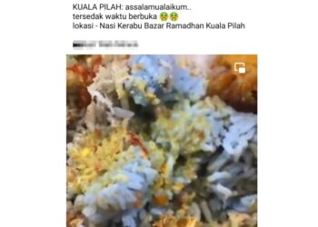 TANGKAP layar video tular seorang pengguna media sosial yang mendakwa nasi kerabu berulat yang dibeli di bazar Ramadan Kuala Pilah.