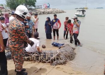 ANGGOTA penyelamat dan penduduk kampung sedang memerhatikan buaya tembaga yang ditangkap di Pantai Siring, Kampung Pulai, Jasin, Melaka.