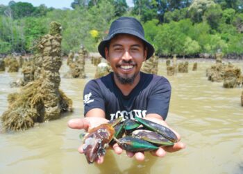 PENTERNAK kupang, Mohd. Hairel Mohd. Rashid menunjukkan hasil ternakan diusahakannya di Teluk Sinting, Pasir Panjang, Port Dickson.