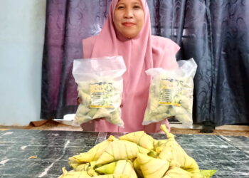 AIDA Wati Mohd Yusop menyiapkan 20 kg tempahan ketupat palas pada malam raya Aidilfitri sebelum diserahkan kepada pelanggan. - UTUSAN/MEGAT LUTFI MEGAT RAHIM