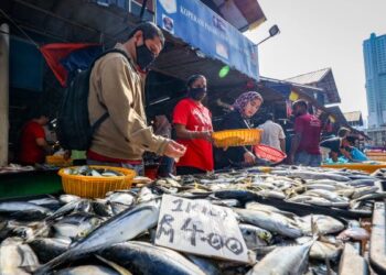 PELANGGAN memilih ikan yang dijual di sebuah gerai dalam tinjauan Skim Harga Maksimum Musim Perayaan (SHMMP) sempena Aidilfitri 2024 yang berkuat kuasa semalam hingga 19 April di Pasar Chow Kit, Kuala Lumpur. – UTUSAN/MUHAMAD IQBAL ROSLI