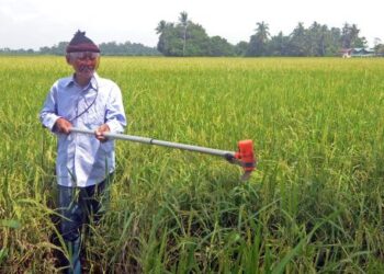 HAMAMI Abas menggunakan mesin khas untuk memotong padi angin di Sungai Manik di Pasir Salak. – UTUSAN/AIN SAFRE BIDIN