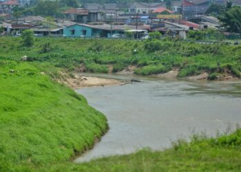 SATU jawatankuasa khas yang dianggotai oleh wakil-wakil rakyat dan agensi serta jabatan berkaitan di Negeri Sembilan diwujudkan bagi menangani isu ancaman pencemaran terhadap Sungai Linggi.
