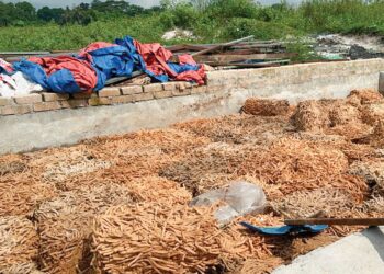 BAHAN yang diproses di sebuah premis yang menyebabkan bau busuk di Kampung Baru Chenderong dekat Jalan Tanjung Tualang di Batu Gajah, Perak semalam. – UTUSAN/LIYANA RAMLI