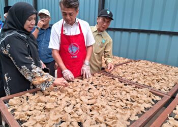 MUHAMMAD Faiz Fadzil (tengah) melihat keropok keping yang dijemur di Pusat Pemprosesan Hasil Perikanan Persatuan Nelayan Kemaman di Kemaman, hari ini. - UTUSAN/NIK NUR IZZATUL HAZWANI NIK ADNAN