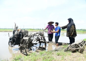 MUHAMMAD 
Irfan Azhar (tengah) menunjukkan keputusan 9A kepada ibu dan bapanya yang sedang bekerja di sawah di Kampung Kepala 10, Lomboh, Tambun Tulang, 
Arau.