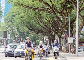 Pengguna jalan raya terdedah kepada risiko pokok tumbang yang boleh meragut nyawa dan merosakkan harta benda. – UTUSAN/ SHIDDIEQIIN ZON