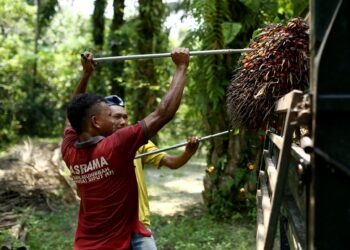 EKSPORT minyak sawit Malaysia melonjak sebanyak 40 peratus kepada 1.69 juta tan pada Julai 2024.