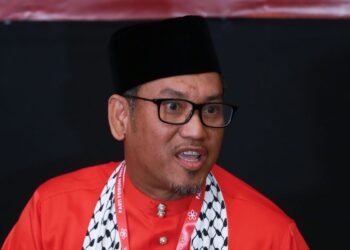 AHMAD FAIZAL AZUMU