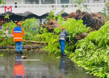 MASALAH pokok tumbang sehingga menghempap kenderaan serta mengganggu lalu lintas juga berlaku di Pulau Pinang khususnya di sekitar George Town gara-gara hujan lebat dan angin kencang, baru-baru ini