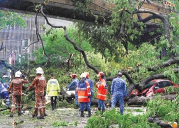 HUJAN lebat dan angin kencang menyebabkan beberaoa batang pokok tumbang di sekitar Lembah Klang. - GAMBAR HIASAN