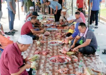 PENDUDUK bergotong-royong melapah daging lembu semasa program ibadah korban di Masjid al-Quro di Bagan Datuk, Perak, semalam. 