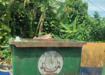 KEADAAN kepala lembu dipercayai haiwan korban yang dibuang dalam tong sampah di Kampung Pulau Rusa, Kuala Terengganu, semalam.