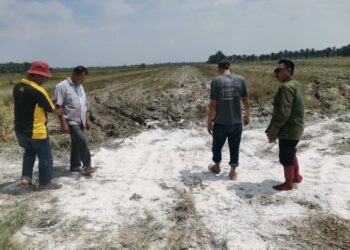 PESAWAH meninjau keadaan tanah sawah yang rosak akibat jentera pemotong padi terbenam di Sungai Manik, Pasir Salak, Perak. - UTUSAN/AIN SAFRE BIDIN