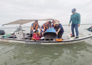 MOHD. Zolkafly Harun (tengah) melepaskan benih kerang di Rungkup, Bagan Datuk, Perak semalam. 
– UTUSAN/AIN SAFRE BIDIN