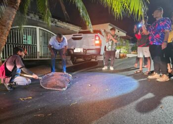 J. ARUL Kumar (dua dari kiri) turut menyertai operasi tangkapan anjing terbiar selepas menerima beberapa aduan penduduk di kawasan Mantin, Seremban.